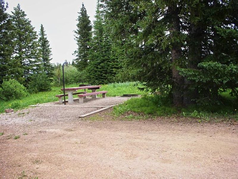 Bald Mountain Site 7