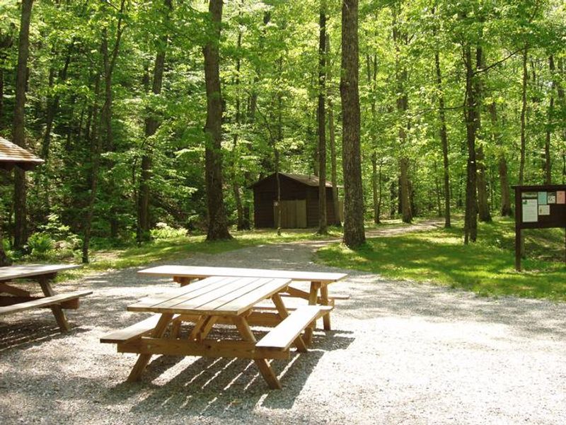 Williams Branch Group Picnic Area