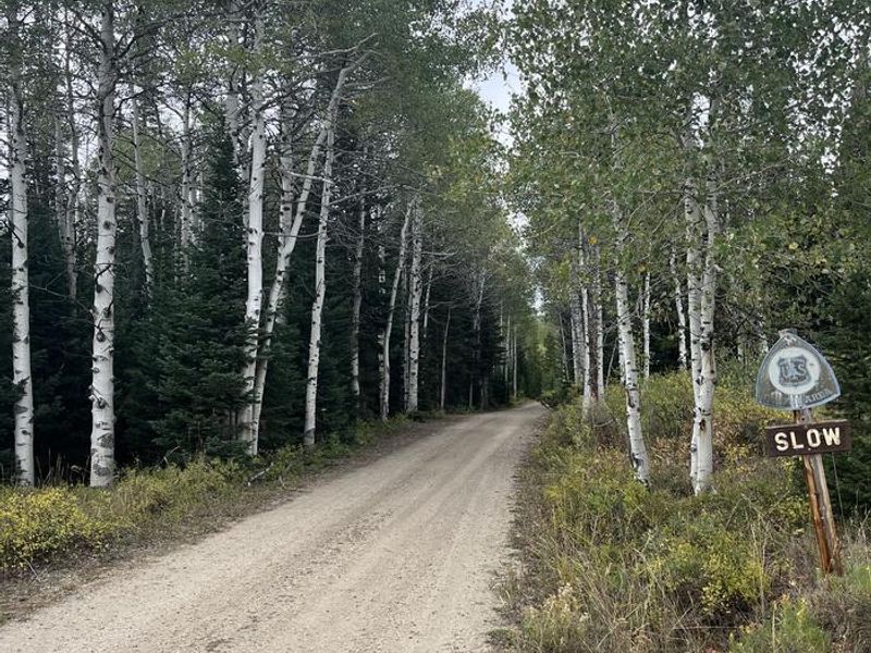Bottle Creek Road entrance to information board and fee area 