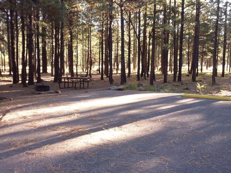SINKHOLE Campground Shaded Standard Site