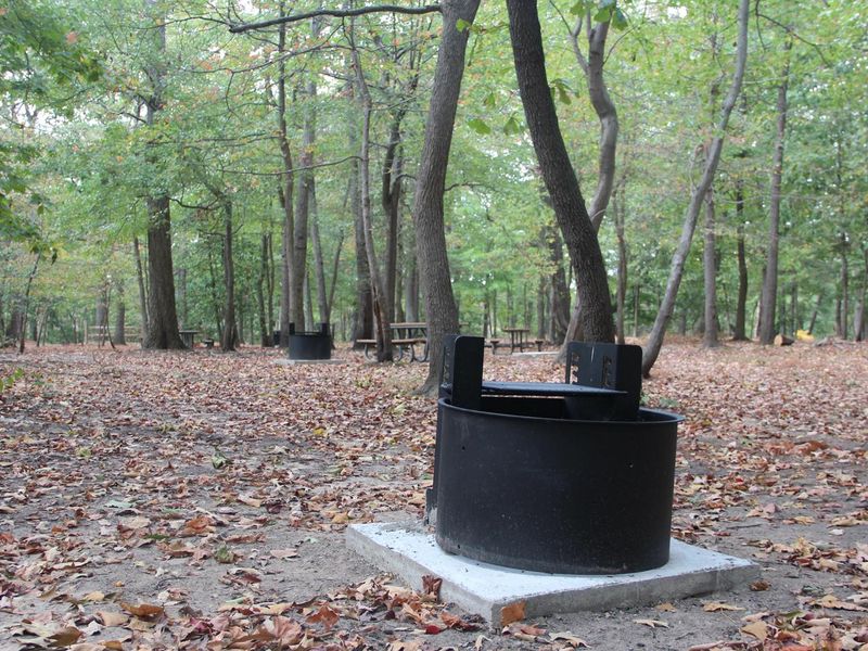 The new grills located on each site at Greenbelt Park campground