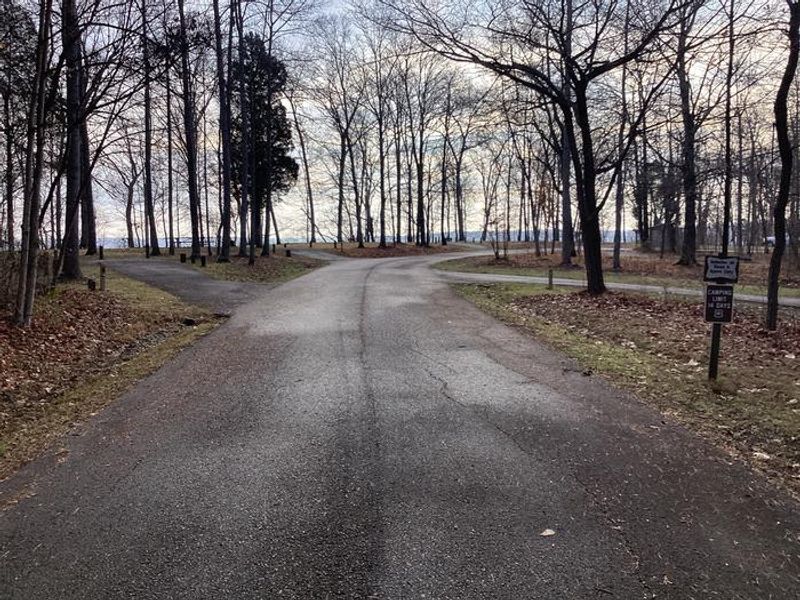 A photo of the Buzzard Roost Campground 