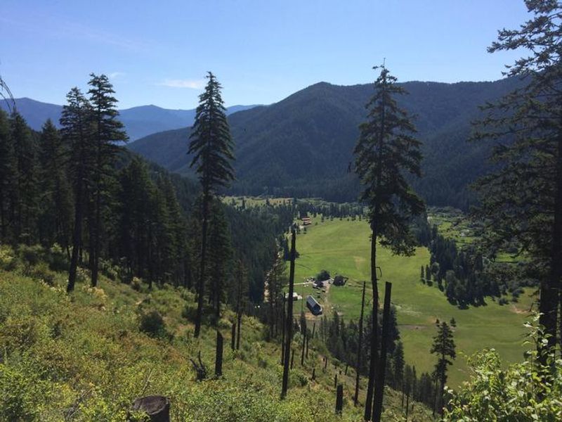Big Beaver Creek Valley as seen from road 2222