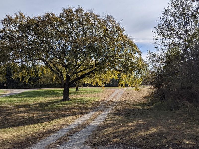 Timber Creek Park Road