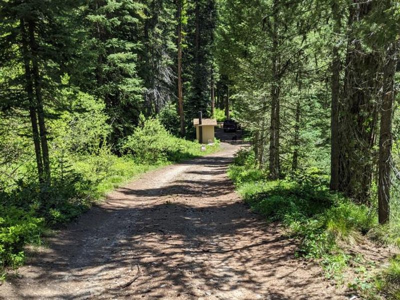 Narrow, one-lane access road to north loop of campground.