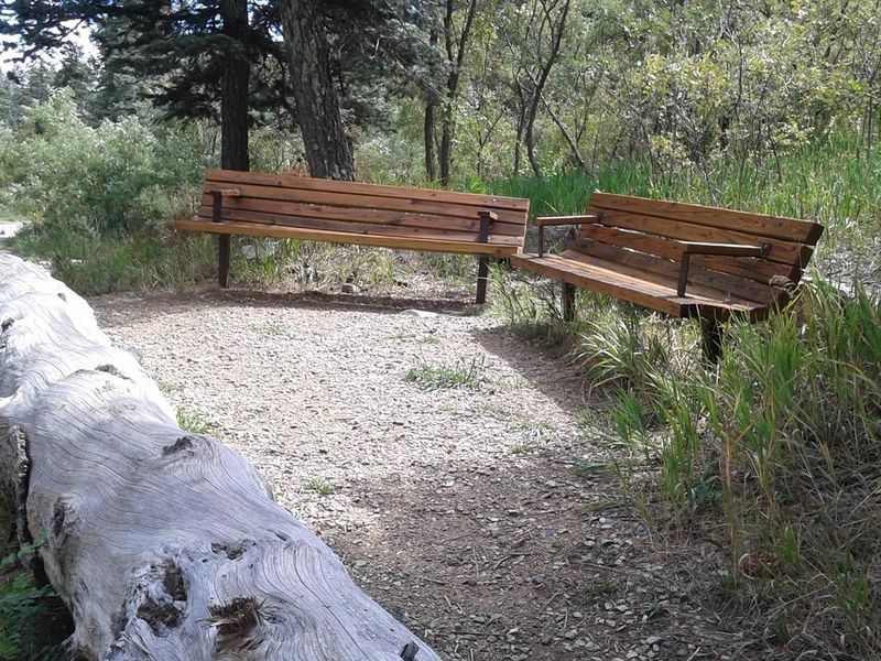 Rest on the benches at the birding log
