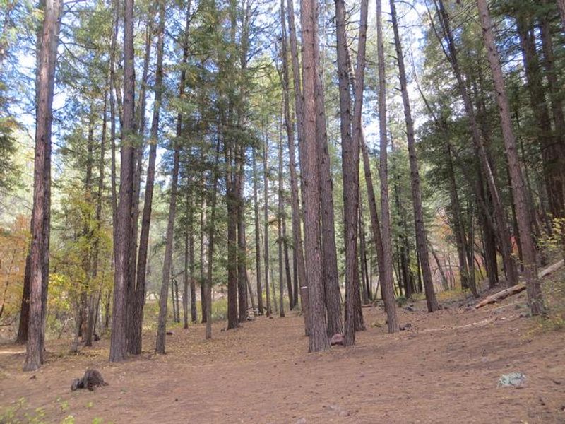 Christopher Creek Campground group site camping space. 