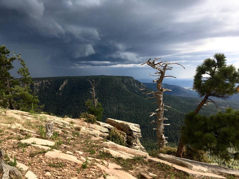 Monsoon approaching the Rim Lakes Recreation Area