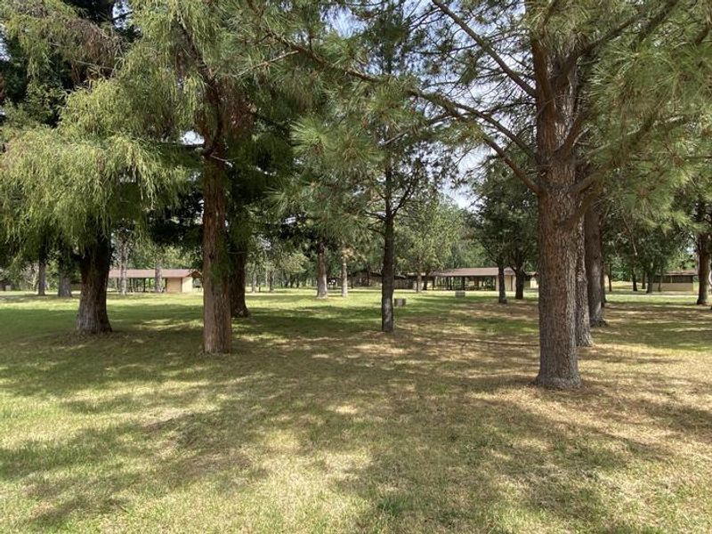 Plentiful shade in the campground