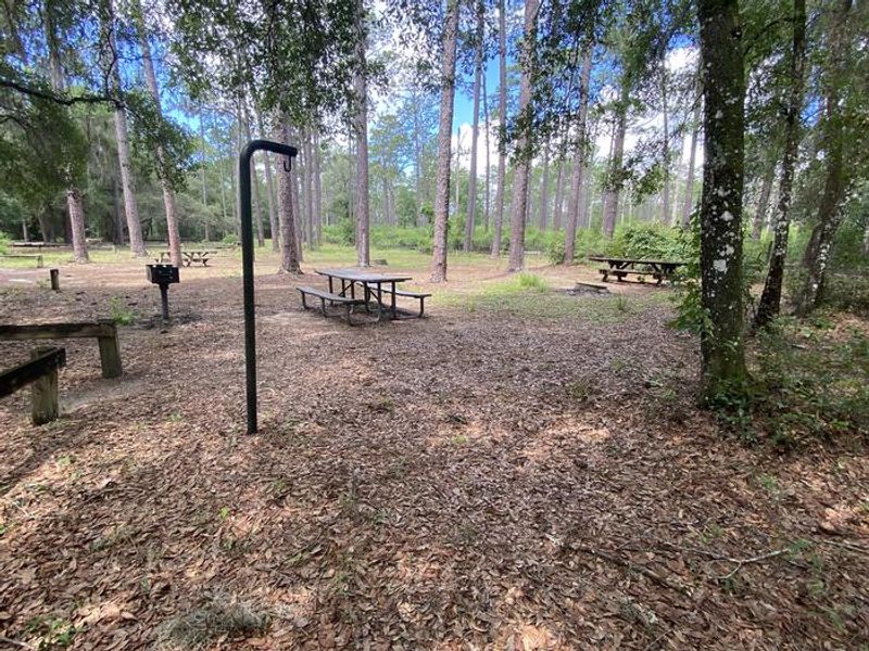 A photo of facility Lake Delancy West Campground with Picnic Table, Fire Pit, Shade, Lantern Pole