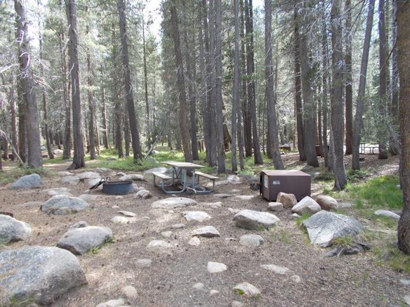 A66, Tuolumne Meadows Tent Site