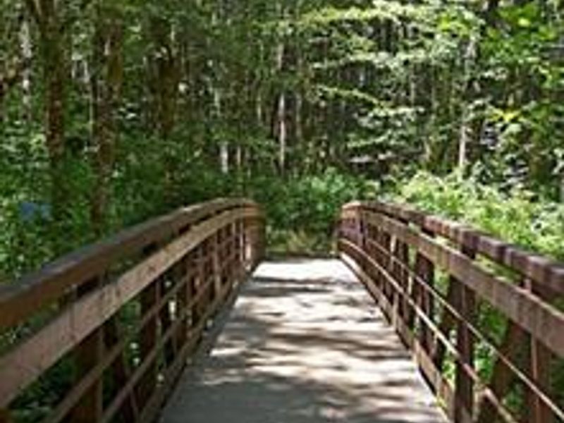Bridge in campground
