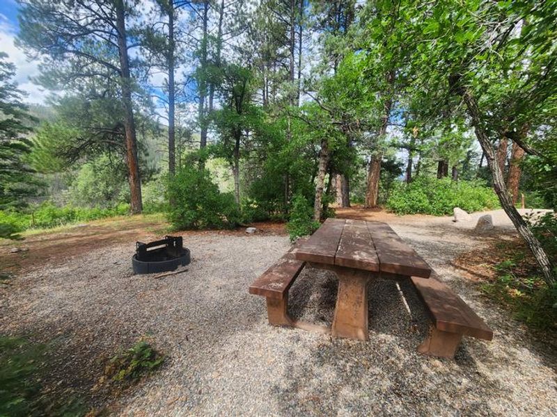 All sites offer a picnic table and fire ring One of 19 first-come sites.
