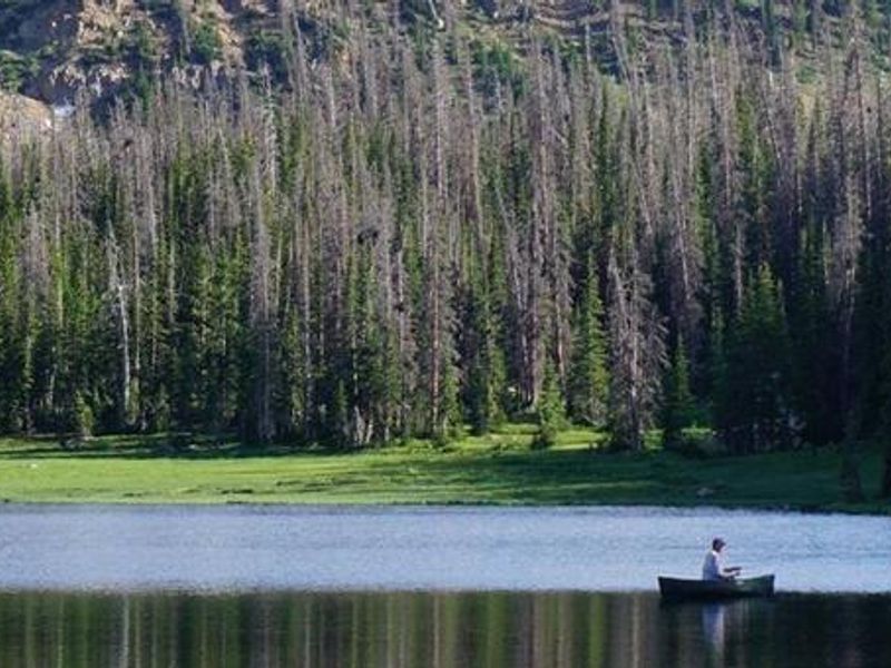 MOOSEHORN CAMPGROUND