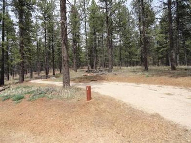 Camping Site at Pioneer CG