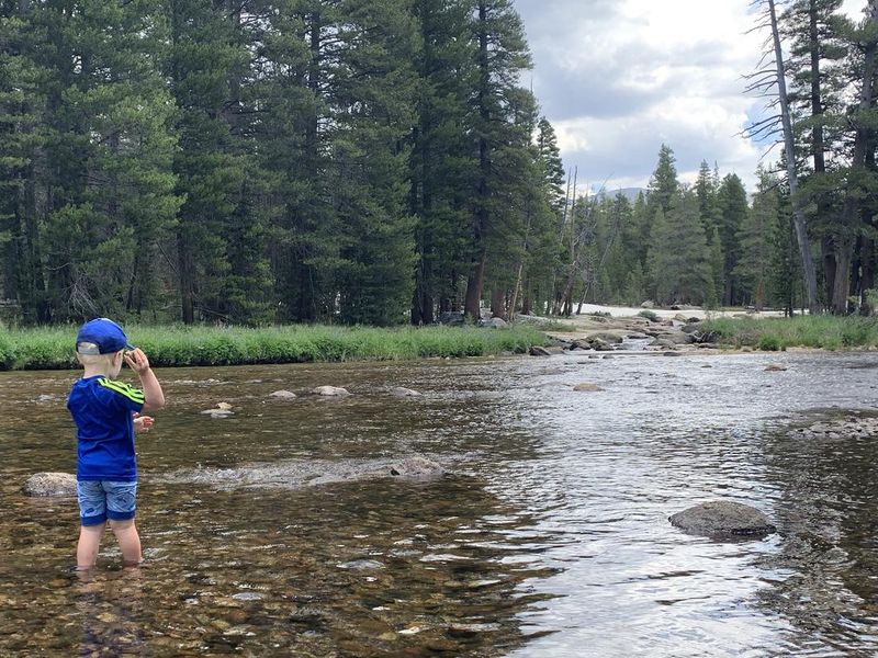 Kid throwing rock in Tuolumne River