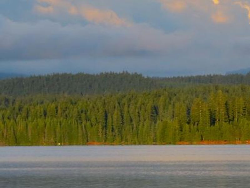 View of Timothy Lake from Oak Fork