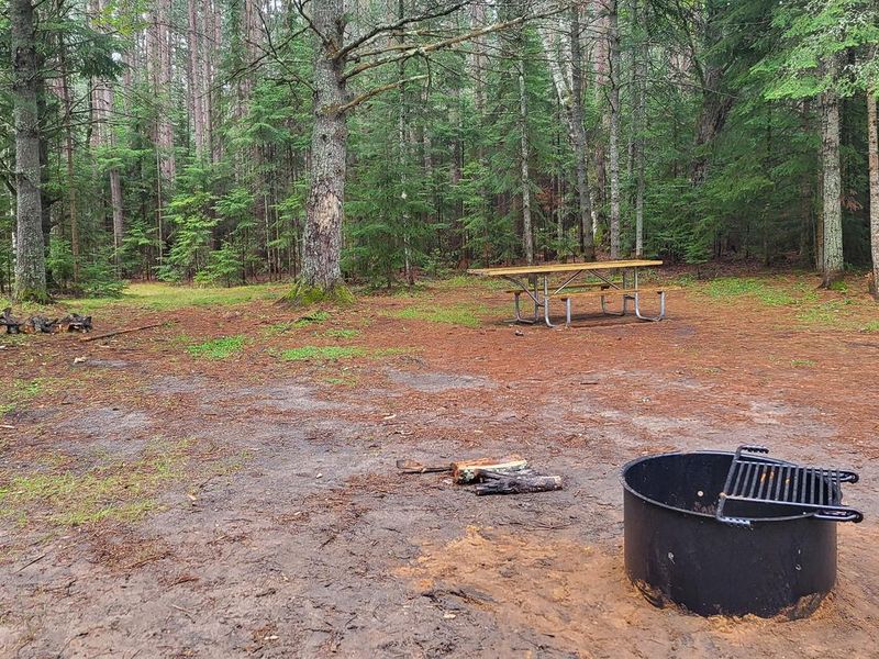 View of a fire ring and picnic table