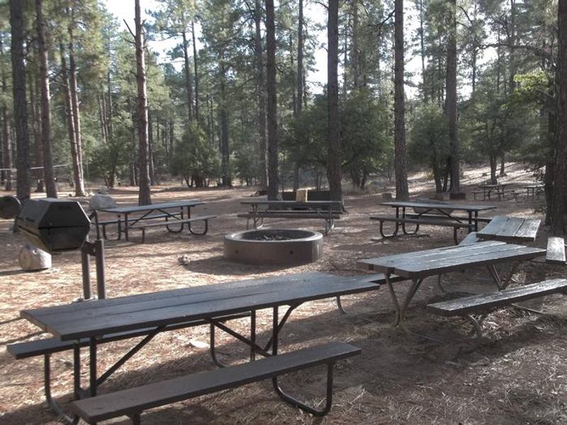 Large fire pit located at the center of the group site, Charcoal grills are also available around the fire pit and at additional sites within the group site.  