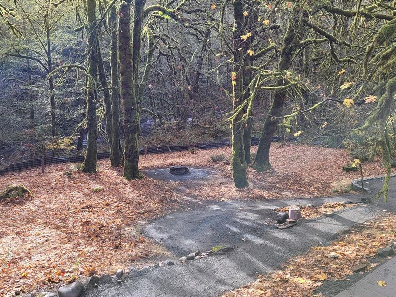 Elk Bend Recreation Site view from above