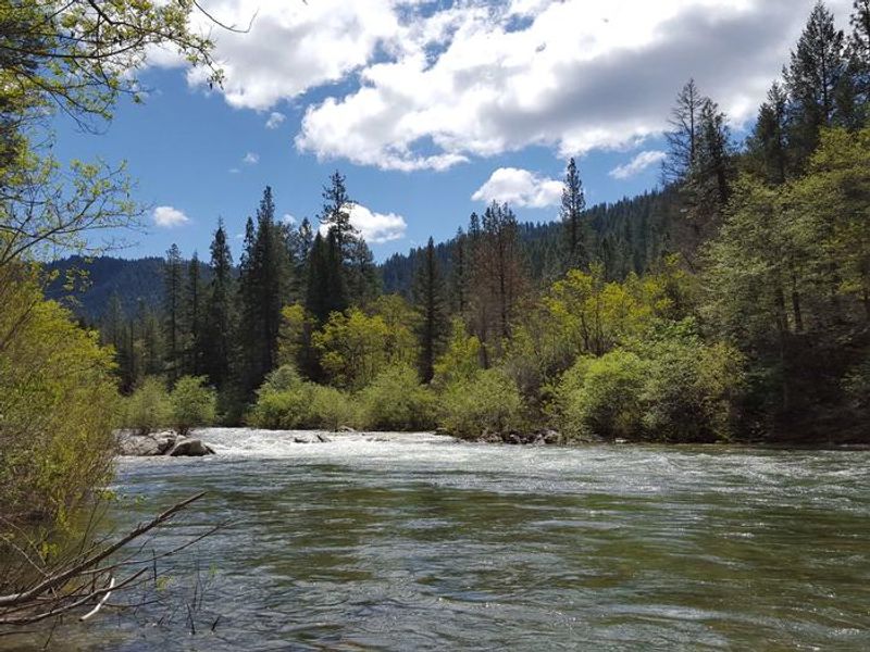 North Fork Yuba River at Carlton