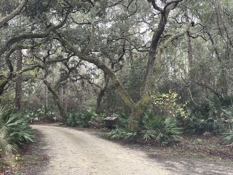 There are bear proof trash cans and water faucets throughout the campground.