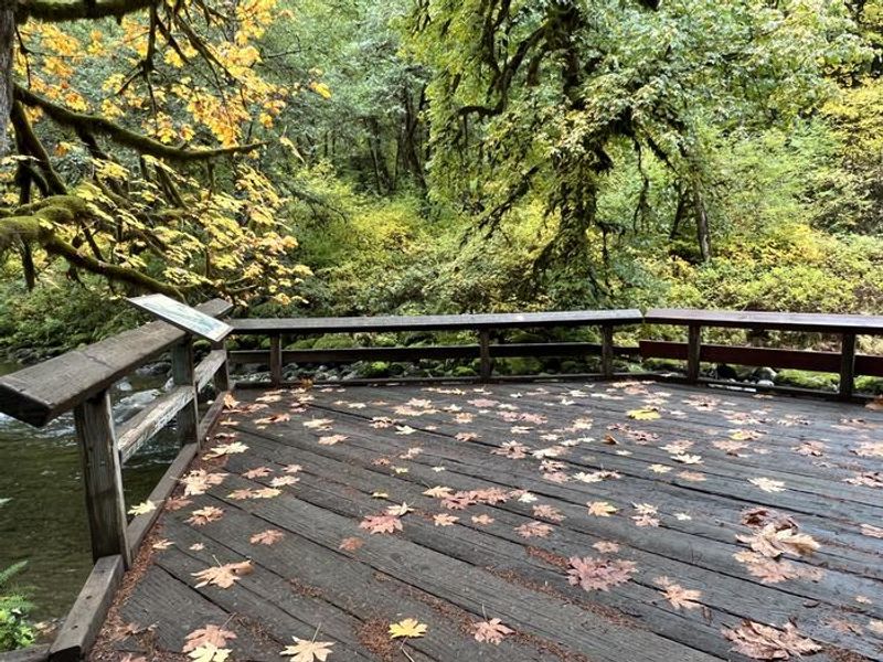 ADA Accessible Fishing Platform