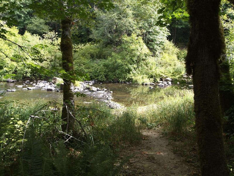 Access to Siuslaw River from Whittaker Campground. 