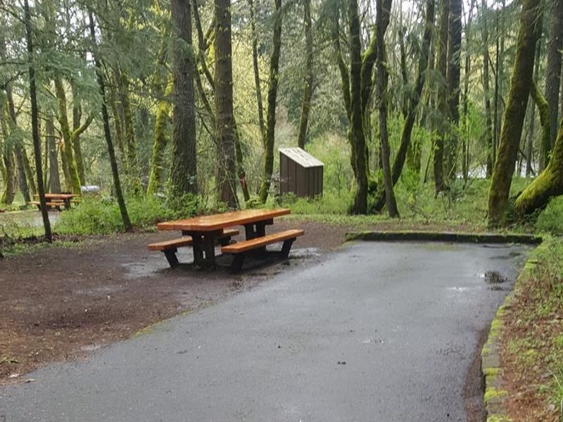 Wyeth campground Site #3