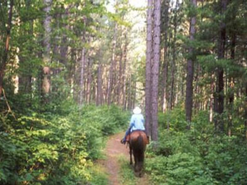 CUT FOOT HORSE CAMPGROUND
