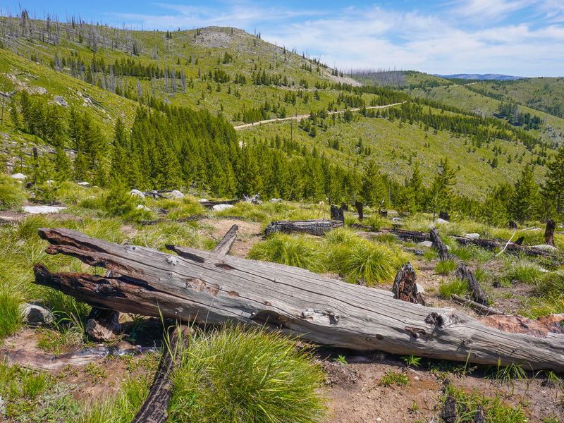 View from trail to lookout