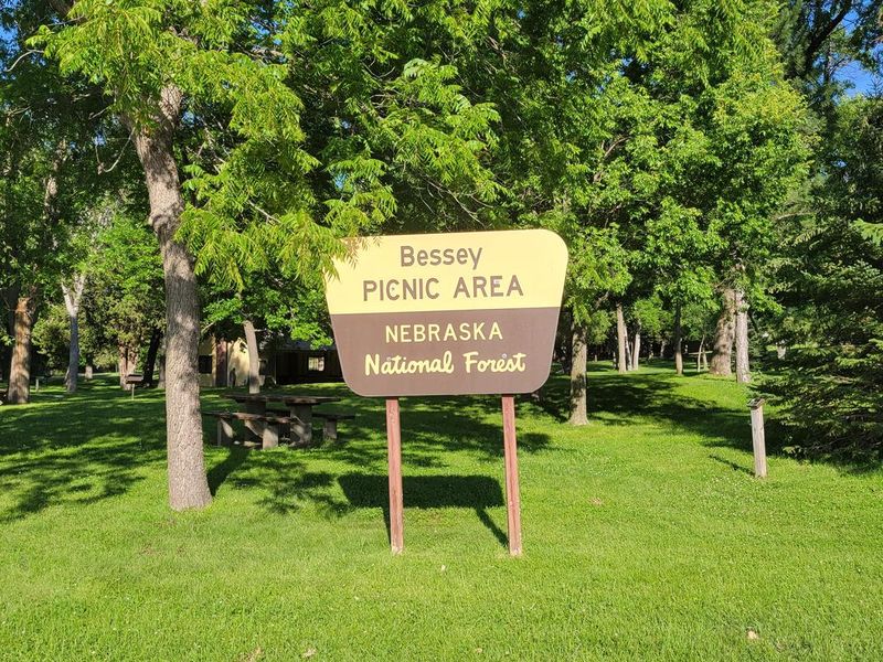 Bessey Picnic area located within the Bessey Recreation Complex near Halsey, NE. 