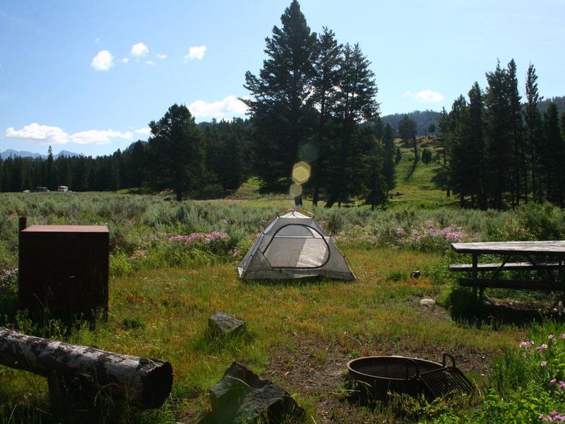 Slough Creek Campground Site #15