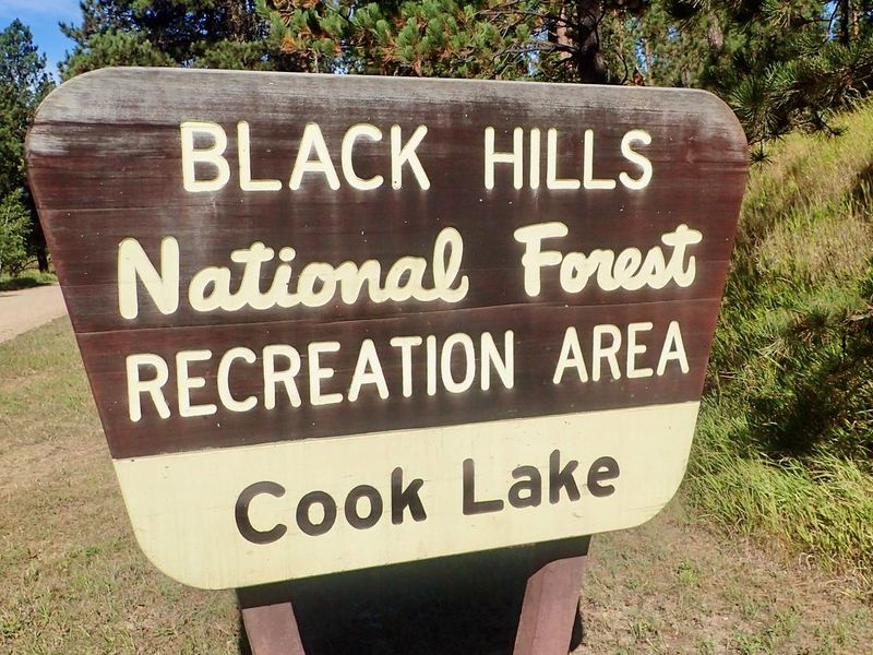 Welcome to Cook Lake