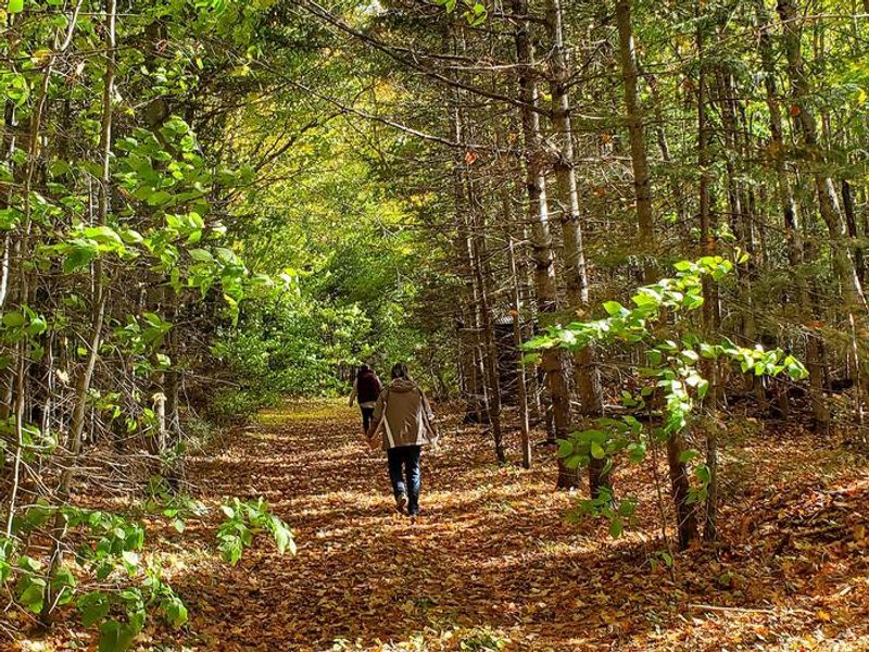 McKeever Hiking Trail located adjacent to the McKeever cabin