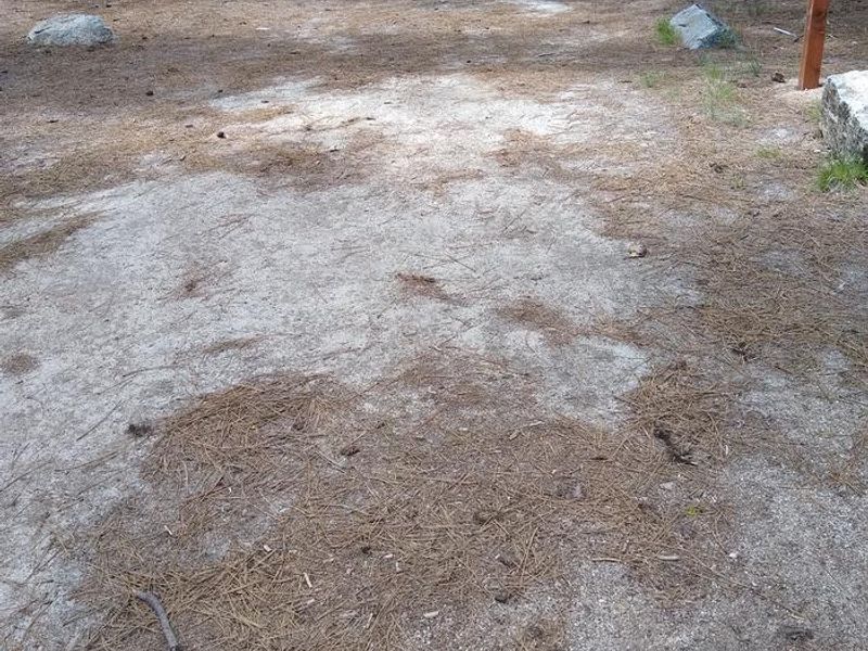 A better look at the Site 11 driveway.  The North Fork of the Boise River flows behind this site.