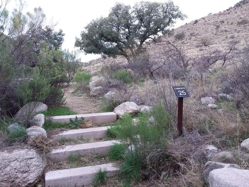 Path to site 25