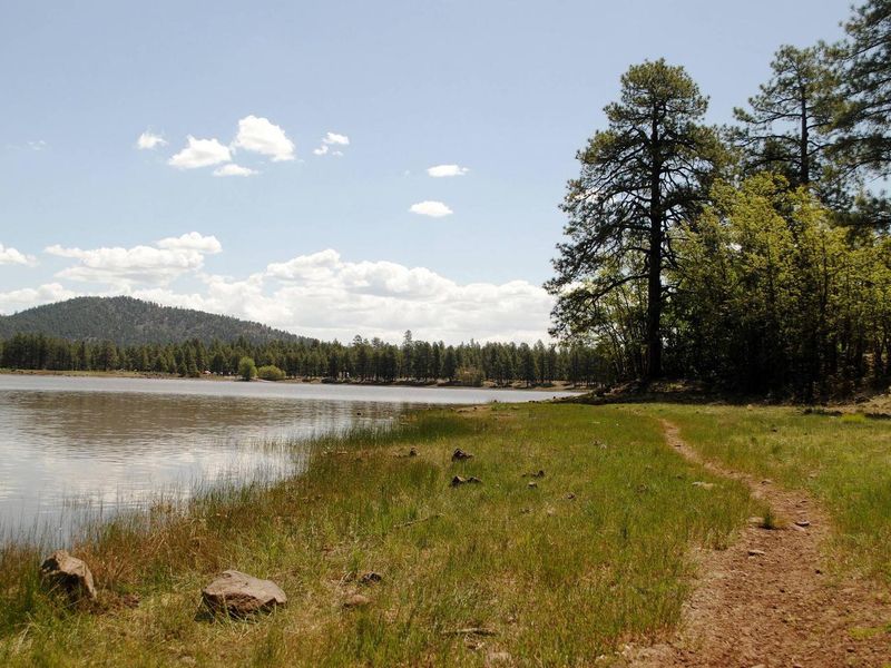 Lake side foot paths offer anglers and enthusiast's access to most areas around the lake.