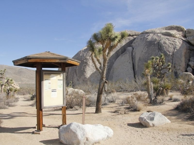 Located off Pinto Basin Road in the northern end of the park. Belle has 18 campsites.