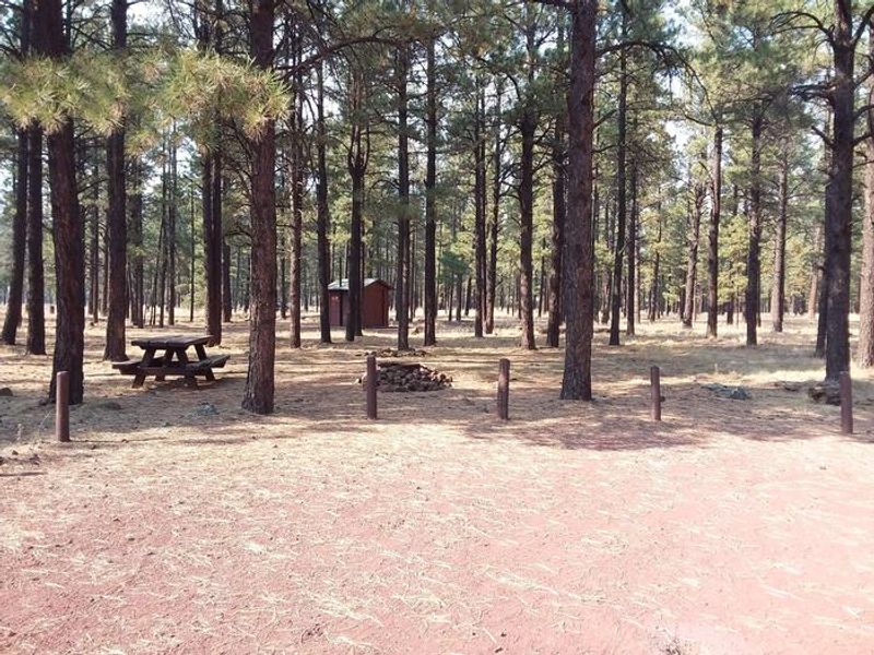 Benny Creek Group Site