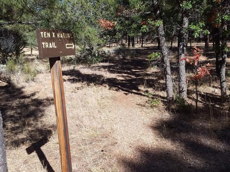 TEN-X Campground Nature Trail Sign