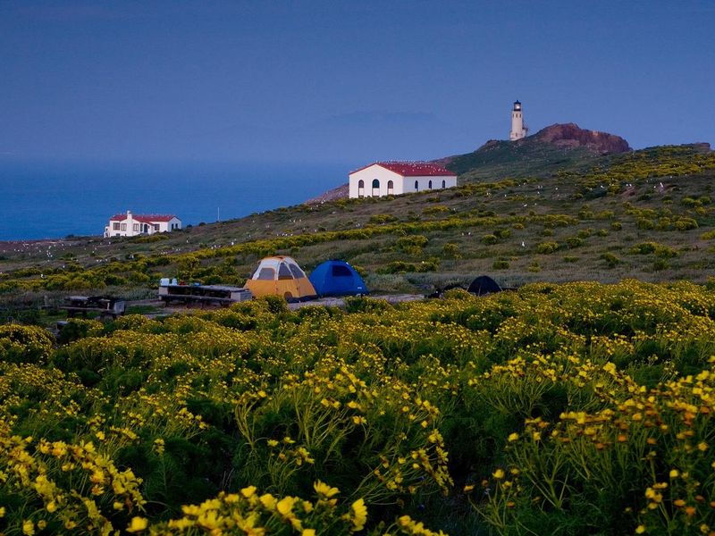 Campground, Anacapa Island