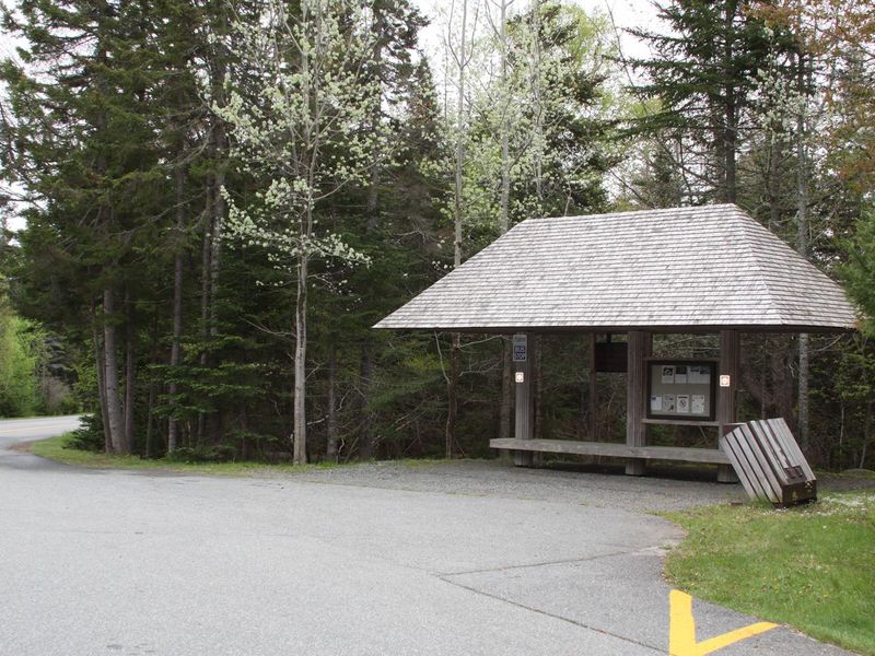 Island Explorer Bus Stop at Seawall Campground