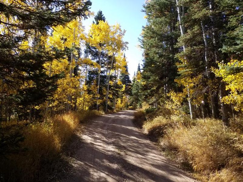 Tie City CG fall colors by site 2