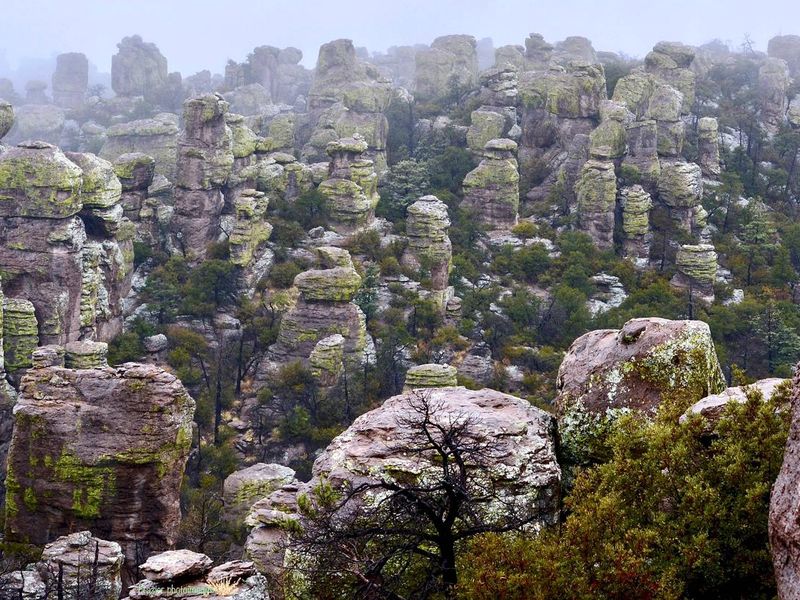 Just One of The Stunning Features of Chiricahua National Monument