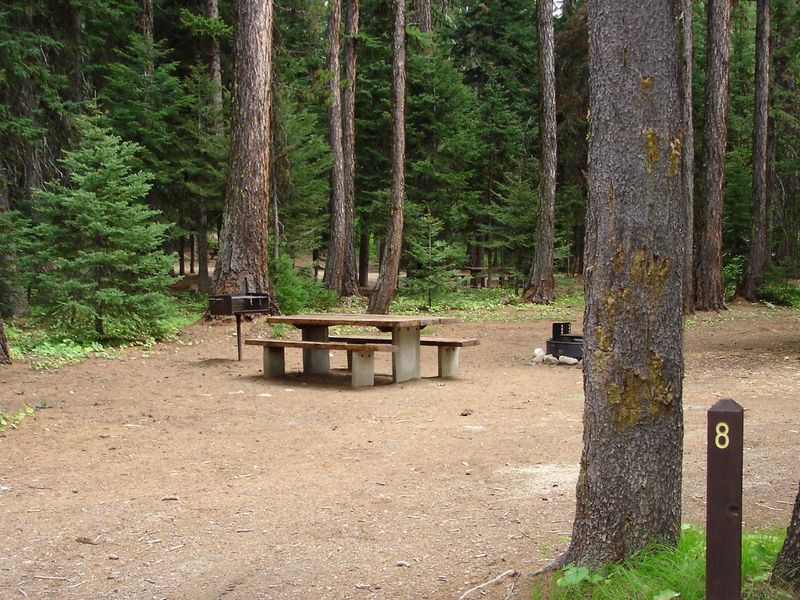 Kennally Creek Campground Site #8.