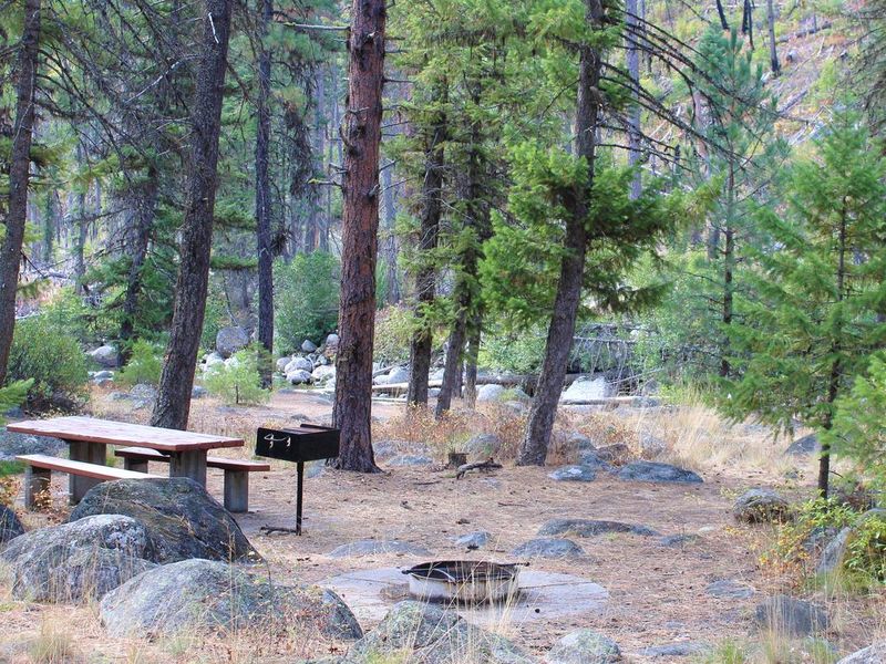 Forest campsite at Ponderosa Campground.