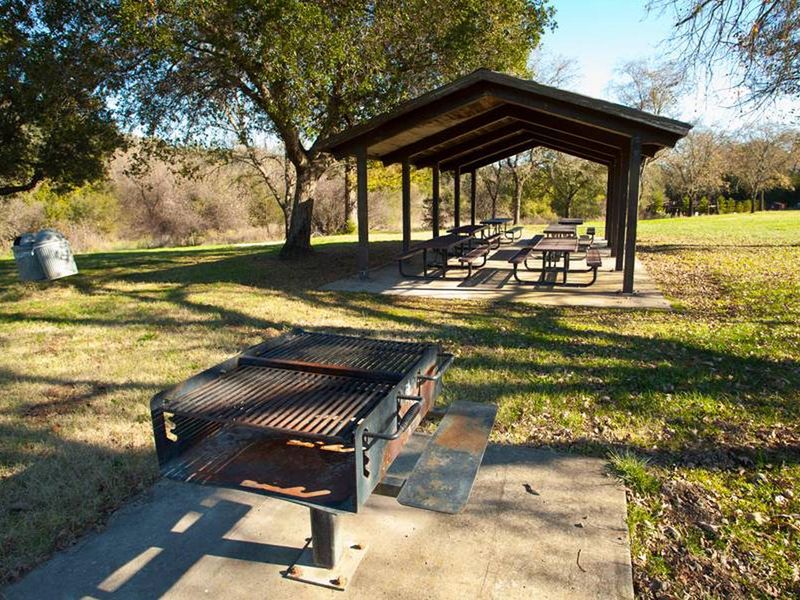 Willow Field Group picnic #5