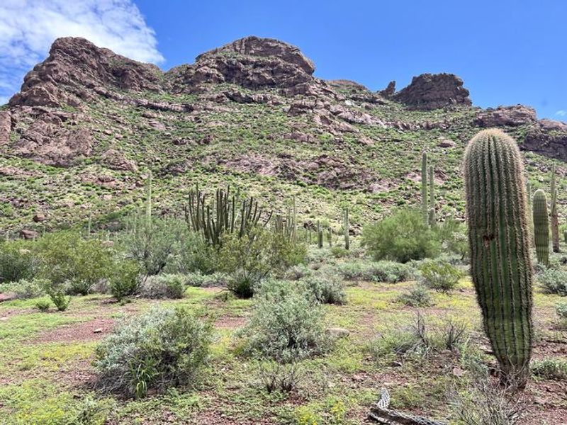 Mountains surround Alamo Canyon Campground.