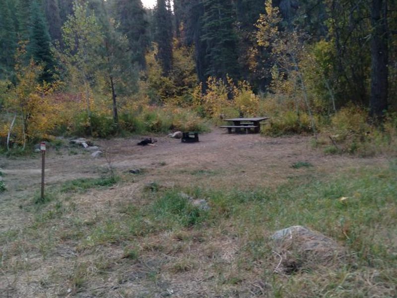 Ten Mile Site 7 is in a large flat clearing.